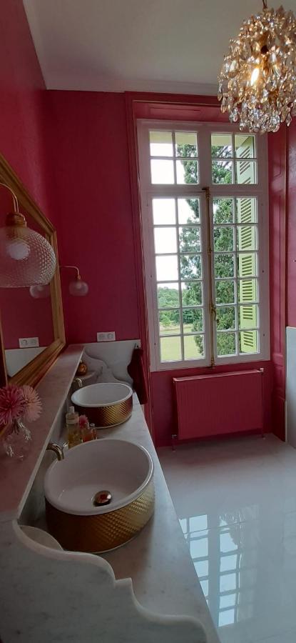 Le Chateau Du Breuil Mazières-de-Touraine Екстериор снимка
